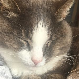 Meet your Posher, Carlie